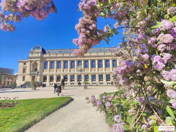 Les expositions de juin 2026 : un mois artistique à vivre à Paris et en Île-de-France