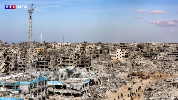Gaza : une plainte déposée contre deux soldats franco-israéliens accusés de "crimes de guerre" | TF1 INFO
