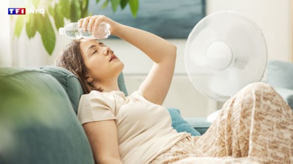 Coup de chaleur, déshydratation, sommeil : ce que la canicule provoque sur le corps selon un médecin | TF1 INFO