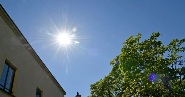 En direct. Canicule : plusieurs écoles fermées en Saône-et-Loire, jusqu'à 38 °C attendus