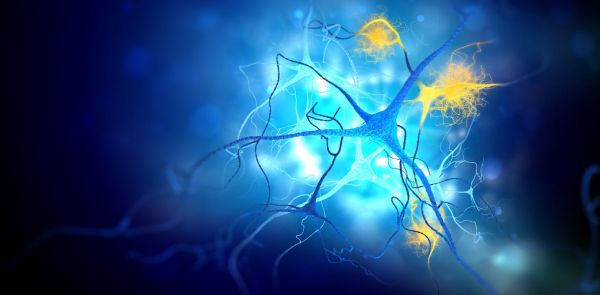 Maladie d'Alzheimer et virus de l'herpès : que dit la science sur les liens possibles ?