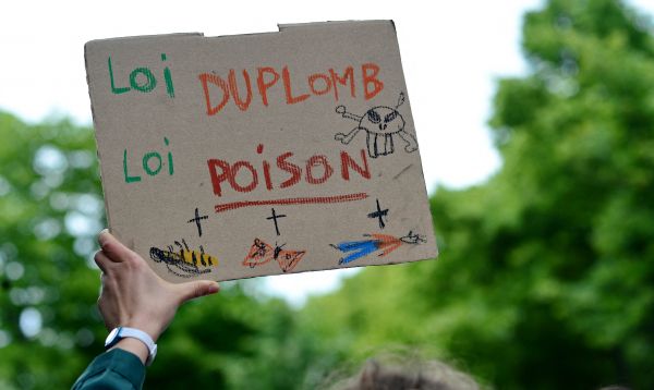 Loi Duplomb : en commission mixte paritaire, RN et macronistes main dans la main pour acter les reculs écologiques