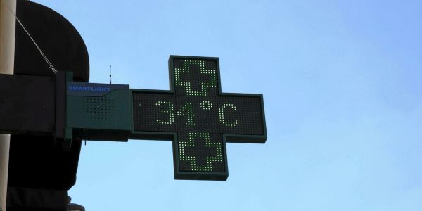 Combien coûtent à la France les épisodes de canicule ?