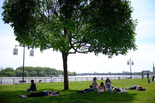 Vague de chaleur : la « renaturation » ou comment adapter les villes au réchauffement climatique