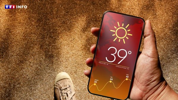 Paris en rouge mais pas Marseille : comment la vigilance canicule est-elle décidée dans votre département ? | TF1 INFO