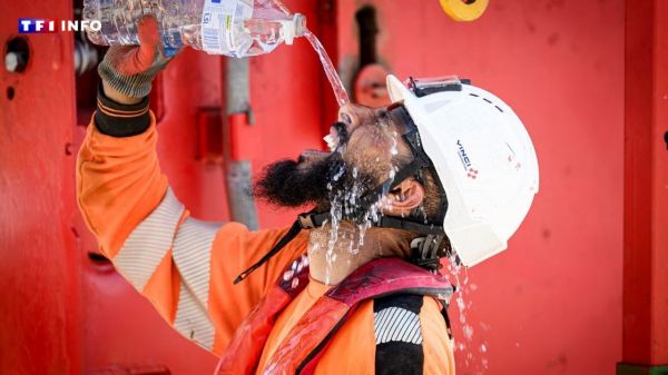 Canicule : ce que coûtent les restrictions d'activité lors des vagues de chaleur | TF1 INFO