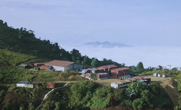 Congo-Kinshasa: CMOC finalise l'acquisition du projet aurifère Cangrejos - Une entrée stratégique dans le secteur de l'or