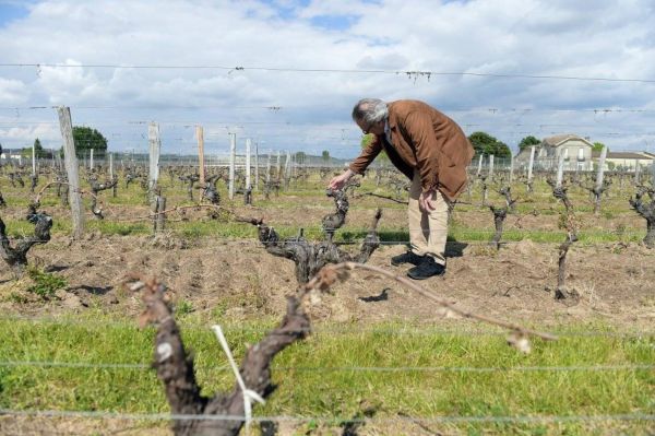 L'Europe soutient le vin sud-africain plutôt que le vin français