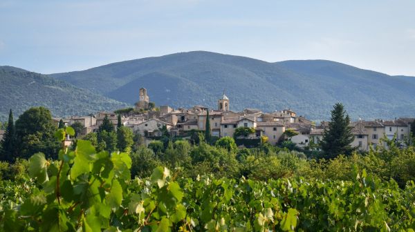 Visites ludiques, culturelles et originales : cet été, partez à la découverte des trésors du Luberon !