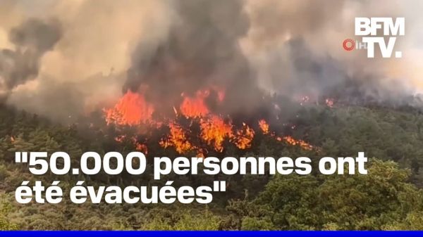 La Turquie lutte contre des feux de forêt dans l'ouest et le sud du pays