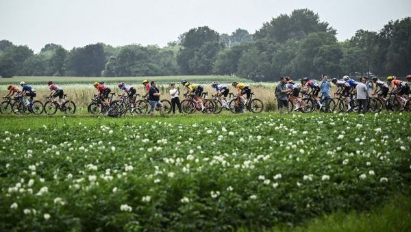 Tour de France Femmes : pendant une étape, comment les cyclistes font-elles pour faire pipi ?