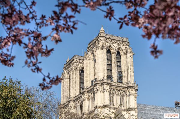 Notre-Dame de Paris : les tours bientôt ouvertes à la visite avec un tout nouveau parcours