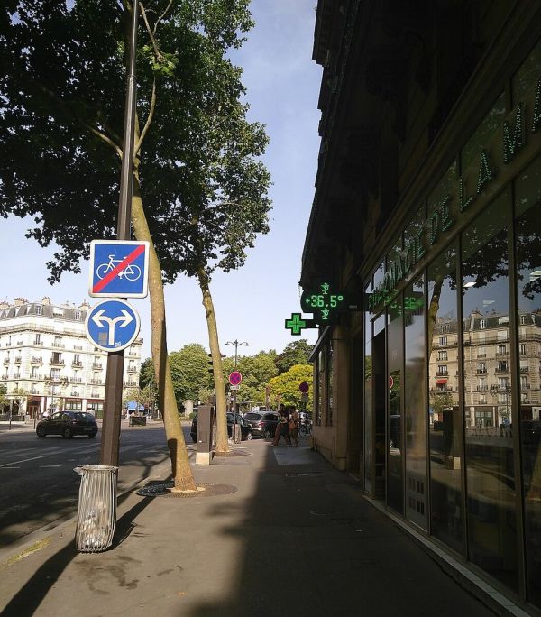 La France à l'arrêt face à une canicule écrasante, le gouvernement pointé du doigt