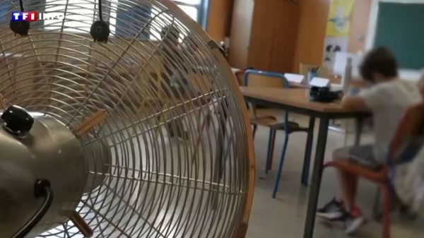 Canicule : le casse-tête de la rénovation des établissements scolaires | TF1 INFO