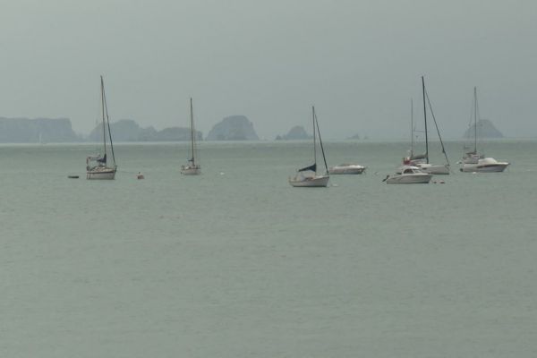 Canicule : ils ont trouvé refuge près des côtes de la Manche
