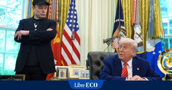La brouille entre Donald Trump et Elon Musk fait mal à Tesla