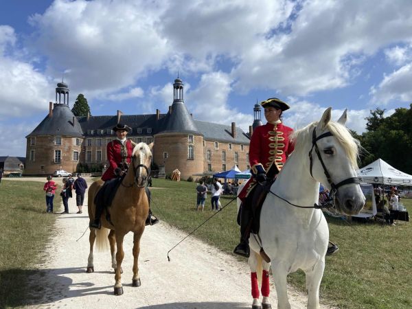 Venez fêter le cheval à Saint-Fargeau