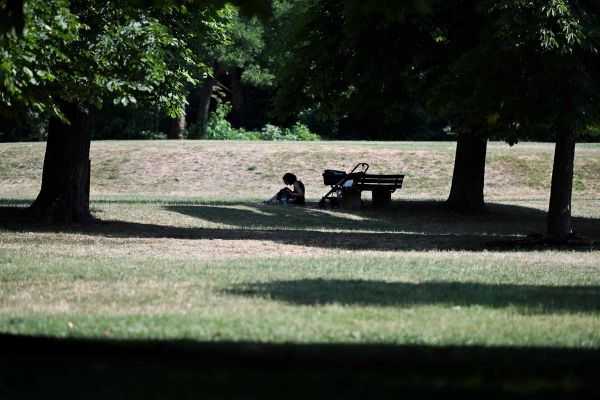 Canicule en Europe : ce que proposent nos voisins pour protéger la population et les animaux