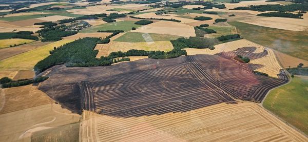 « On moissonne jusqu'à 3 heures du matin » : les feux de récoltes se multiplient en Charente