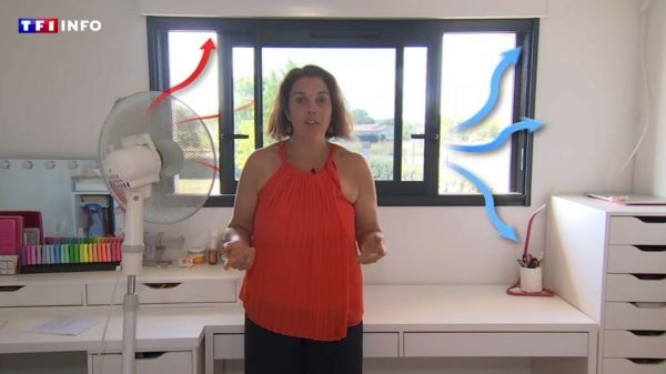 Ventilateur vers l'extérieur, peinture thermique... Ces astuces méconnues pour rafraîchir (sans clim) son logement  | TF1 INFO