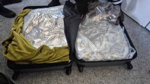 Alpes-Maritimes: plus de neuf kilos de cannabis saisis par la douane dans un bus