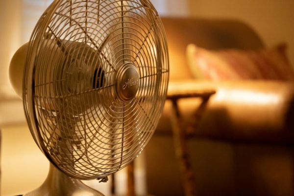 Canicule et allergies : quelles différences entre un ventilateur et un purificateur d'air ?