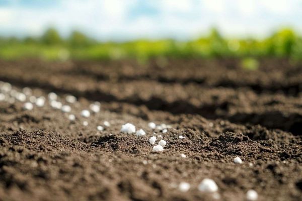 L'instauration d'une taxe sur les engrais russes provoque la colère des agriculteurs