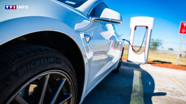 Voiture électrique : la chaleur extrême a-t-elle un impact sur l'autonomie des batteries ? | TF1 INFO