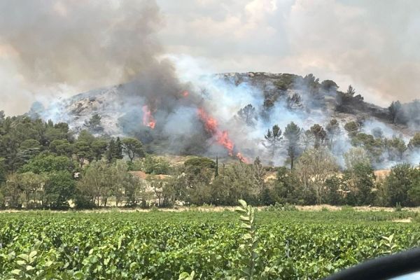 Sans permis, sans assurance, positif aux stupéfiants : le suspect mis en examen pour "incendie involontaire" dans l'Aude et placé en détention provisoire