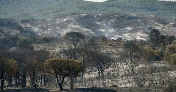 Aude. Incendies provoqués par un barbecue mal éteint : le commerçant suspecté placé en détention