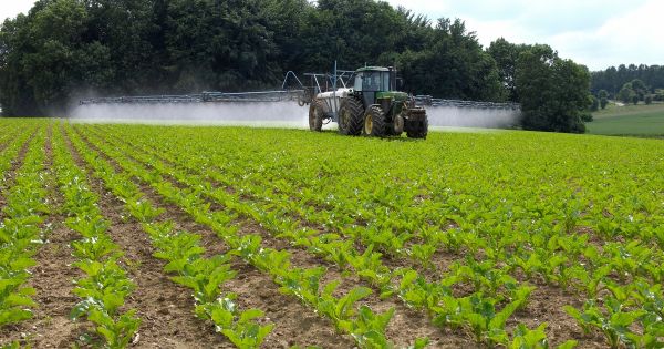 Proposition de loi Duplomb : les parlementaires ouvrent la voie à plusieurs régressions environnementales