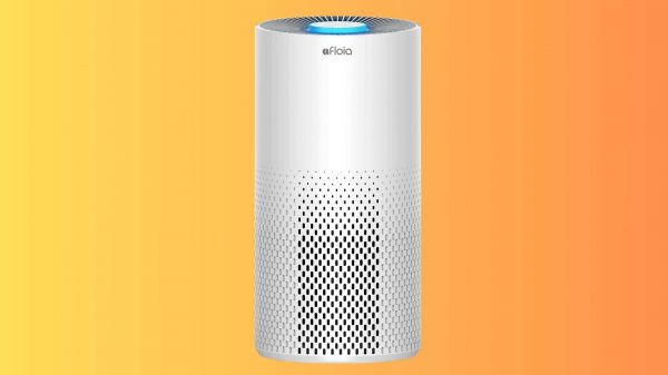 Offrez-vous un purificateur d'air à prix cassé chez Amazon durant les soldes