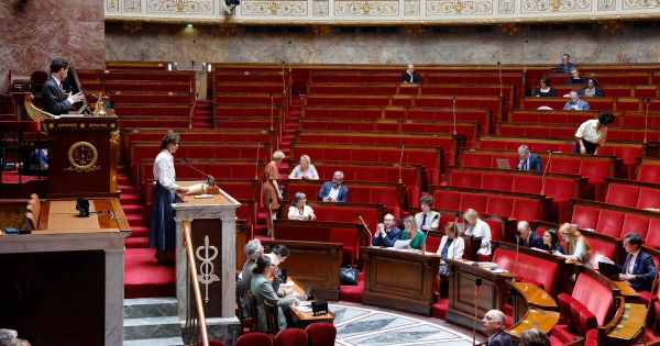 Avec leur usage des motions de rejet, le RN et les macronistes deviennent de mauvaises caricatures du parlementarisme