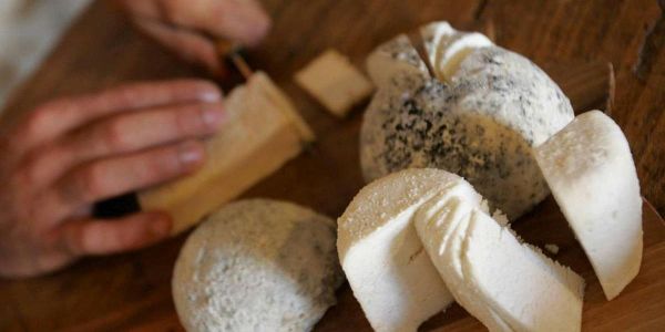 Fromage le soir, nuit de cauchemars ? Une étude explore le lien entre l'intolérance au lactose et les mauvais rêves