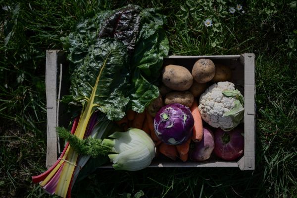 Les agriculteurs bio dénoncent un "hold-up" sur leurs aides