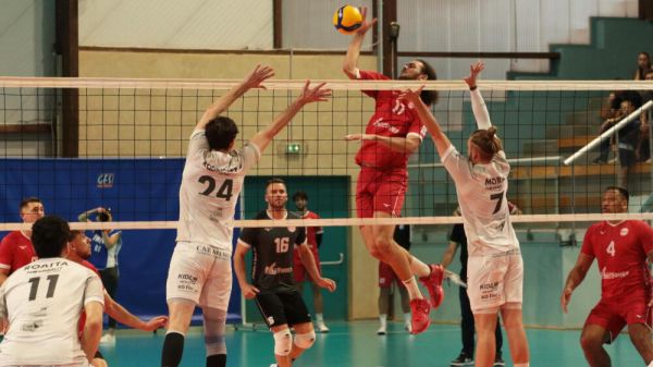 Volley : des résultats et une pratique qui se diversifie... en Provence, la discipline est en plein essor