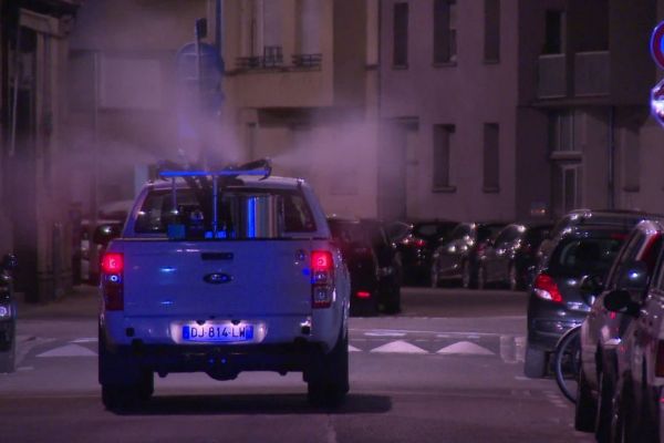 Maladies tropicales : deux opérations de démoustication prévues en Alsace dans la même nuit