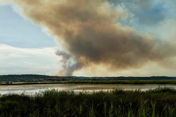 Incendie dans l'Aude : le suspect, qui transportait un barbecue mal éteint, mis en examen et placé en détention provisoire