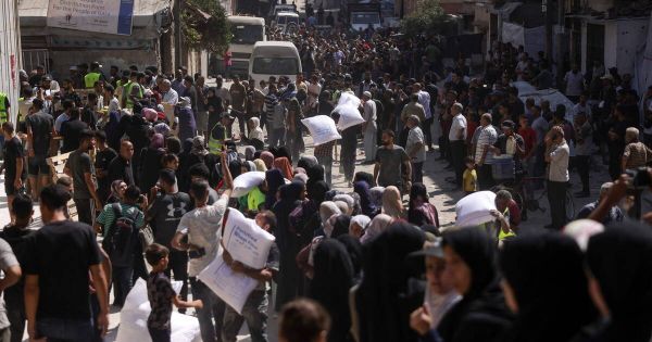 Guerre à Gaza : près de 170 ONG appellent Israël à rétablir une aide humanitaire sécurisée