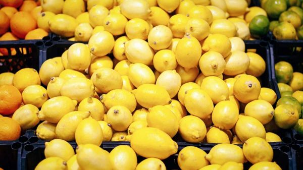 N’achetez plus ces citrons en supermarché s’ils viennent de ces 2 pays, ils sont bourrés de pesticides
