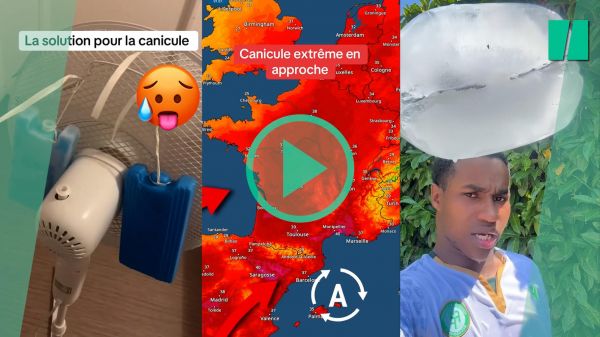 Pour se rafraîchir sous la chaleur, ces internautes sont prêts à tout (et parfois n'importe quoi)