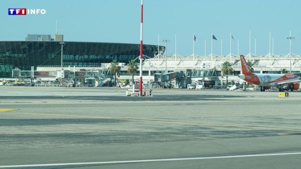 Grève des contrôleurs aériens jeudi : annulation d'un quart des vols à Paris, les aéroports du Sud très touchés | TF1 INFO