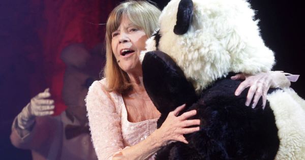 Insolite. Tête de panda disparue à Sausheim : Chantal Goya dépose plainte