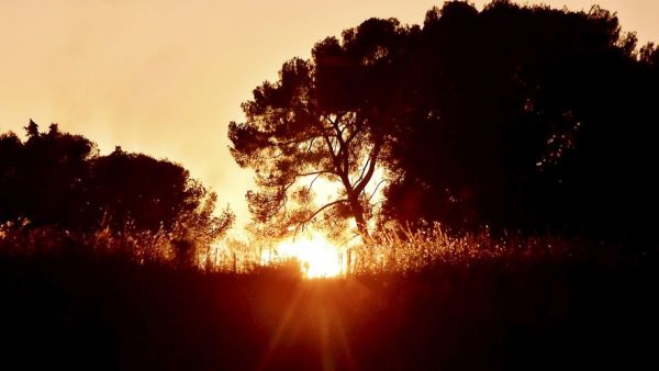 Canicule dans l'Aude et record de chaleur à Durban-Corbières : des températures "exceptionnellement" élevées encore enregistrées pour ce premier jour de juillet