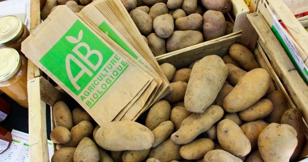 Agriculture. « Un choix délétère » : les agriculteurs bio dénoncent un « hold-up » sur leurs aides