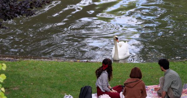 Strasbourg. Il exhibe son sexe au parc de l'Orangerie et agresse une jeune femme