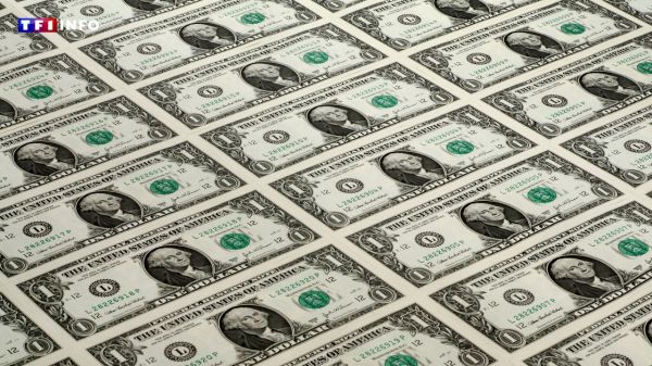 États-Unis : au bout de 6 mois de présidence Trump, le dollar boucle son pire semestre depuis plus de 50 ans | TF1 INFO