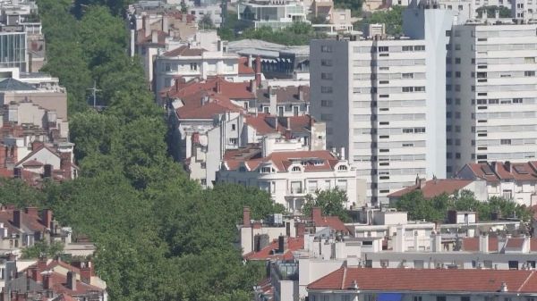 Végétalisation massive, moins de bitume dans les écoles... Lyon investit face au réchauffement climatique