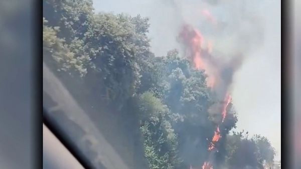 VIDEO. SNCF : un incendie près des lignes TGV Sud-Est perturbe le trafic entre Paris et la Méditerranée, des milliers de passagers concernés
