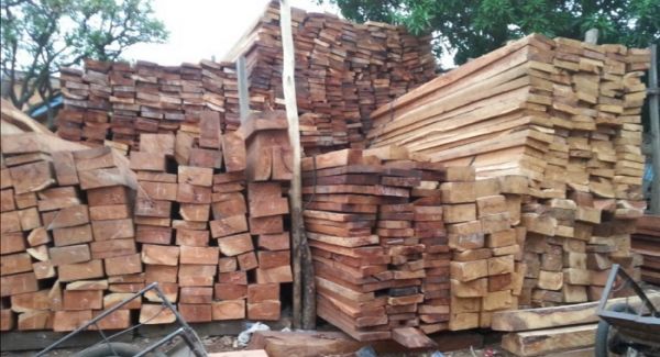 Guinée : le gouvernement suspend la coupe et le transport de bois
